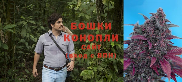 Альфа ПВП Рославль