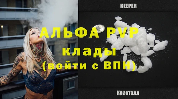 стаф Россошь