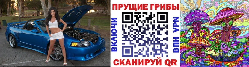 ОМГ ОМГ tor  сколько стоит  Устюжна  Псилоцибиновые грибы ЛСД 
